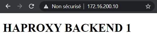 backend1